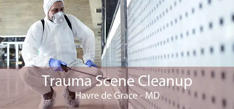 Trauma Scene Cleanup Havre de Grace - MD