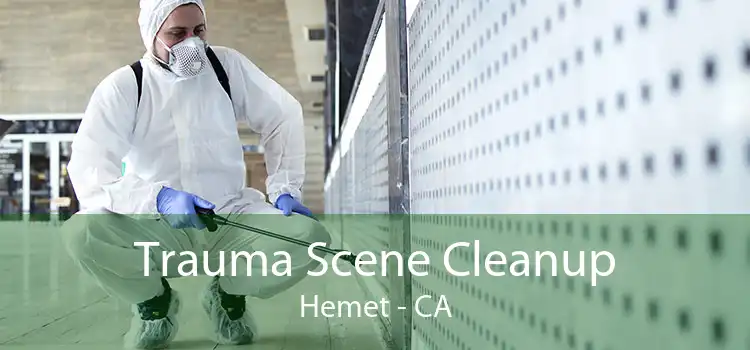 Trauma Scene Cleanup Hemet - CA