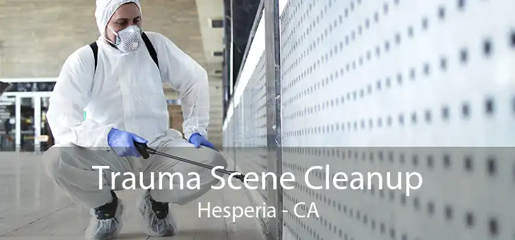 Trauma Scene Cleanup Hesperia - CA