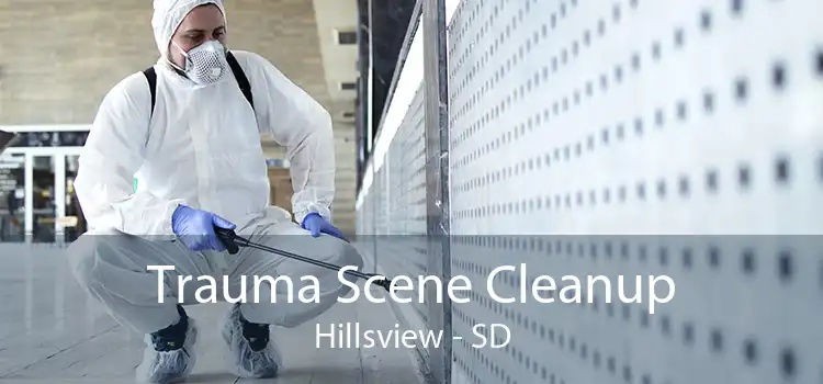 Trauma Scene Cleanup Hillsview - SD