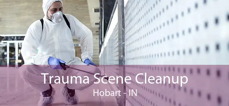 Trauma Scene Cleanup Hobart - IN