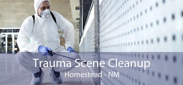 Trauma Scene Cleanup Homestead - NM