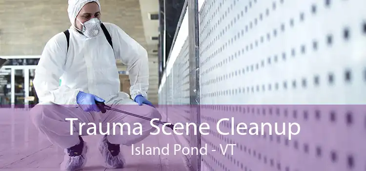 Trauma Scene Cleanup Island Pond - VT