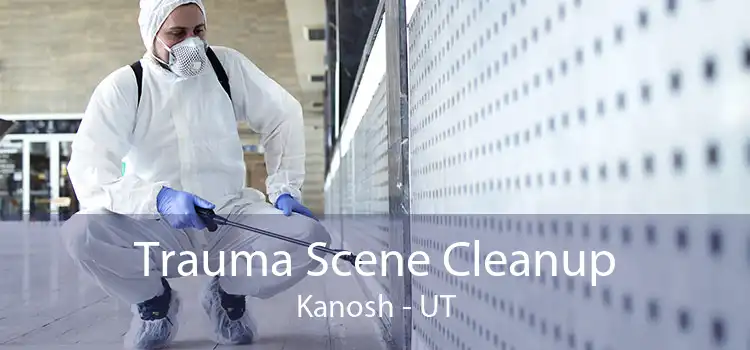 Trauma Scene Cleanup Kanosh - UT