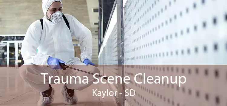 Trauma Scene Cleanup Kaylor - SD