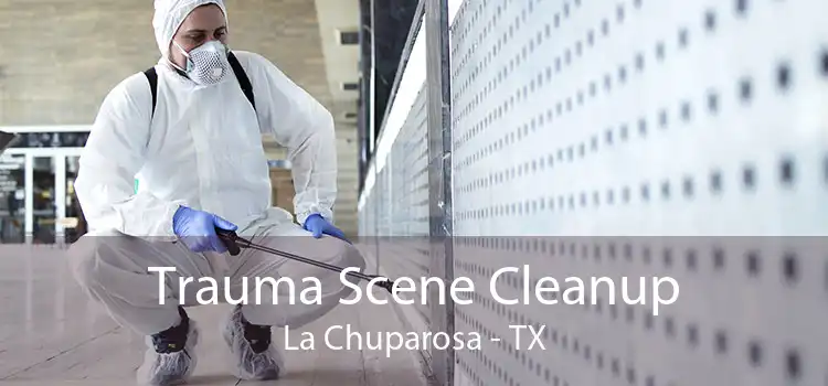 Trauma Scene Cleanup La Chuparosa - TX