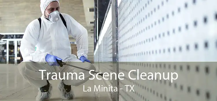 Trauma Scene Cleanup La Minita - TX