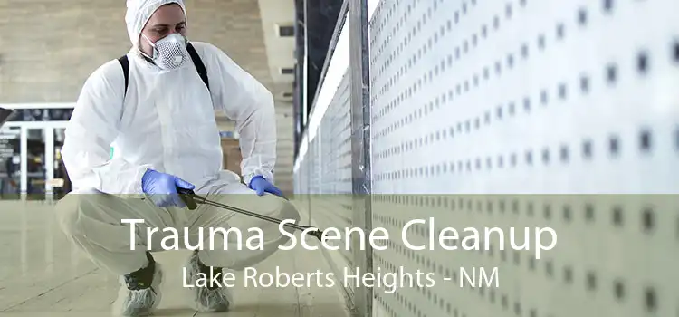 Trauma Scene Cleanup Lake Roberts Heights - NM