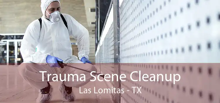Trauma Scene Cleanup Las Lomitas - TX