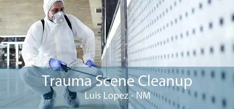 Trauma Scene Cleanup Luis Lopez - NM