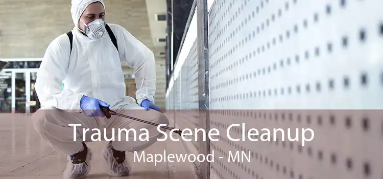Trauma Scene Cleanup Maplewood - MN