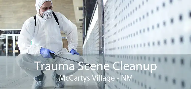 Trauma Scene Cleanup McCartys Village - NM