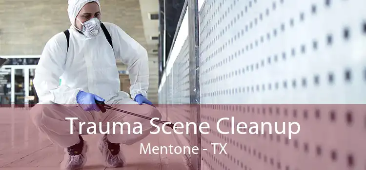 Trauma Scene Cleanup Mentone - TX