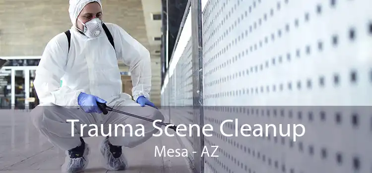 Trauma Scene Cleanup Mesa - AZ