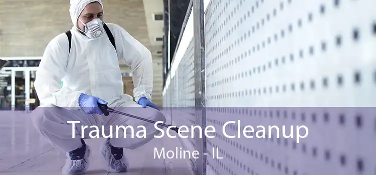 Trauma Scene Cleanup Moline - IL