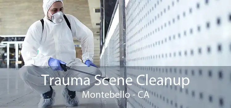 Trauma Scene Cleanup Montebello - CA