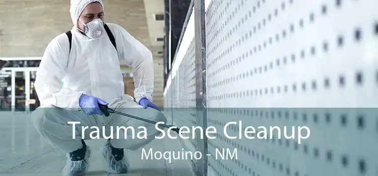 Trauma Scene Cleanup Moquino - NM