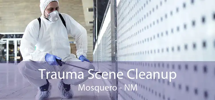 Trauma Scene Cleanup Mosquero - NM