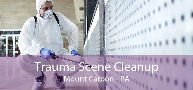 Trauma Scene Cleanup Mount Carbon - PA