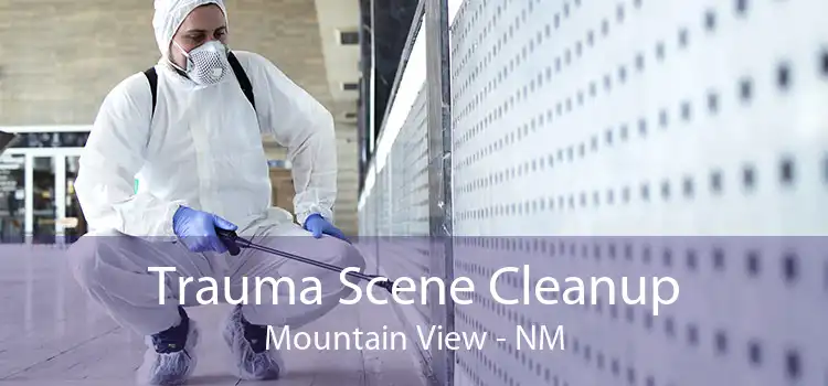 Trauma Scene Cleanup Mountain View - NM