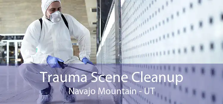 Trauma Scene Cleanup Navajo Mountain - UT