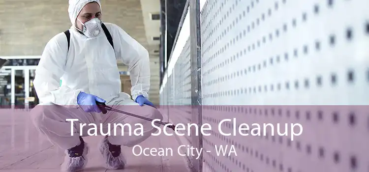 Trauma Scene Cleanup Ocean City - WA