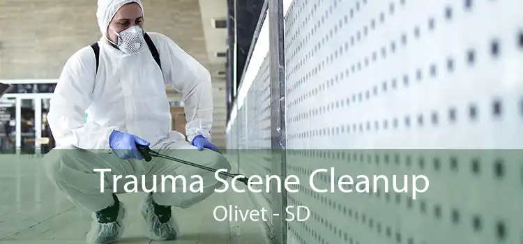 Trauma Scene Cleanup Olivet - SD