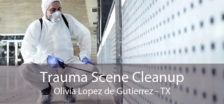 Trauma Scene Cleanup Olivia Lopez de Gutierrez - TX