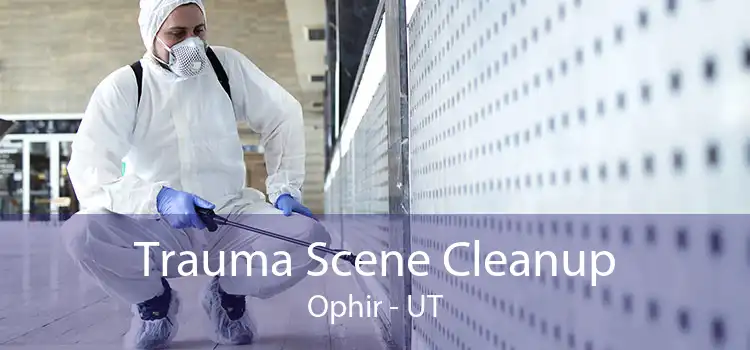 Trauma Scene Cleanup Ophir - UT