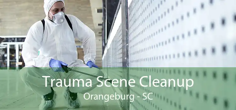 Trauma Scene Cleanup Orangeburg - SC