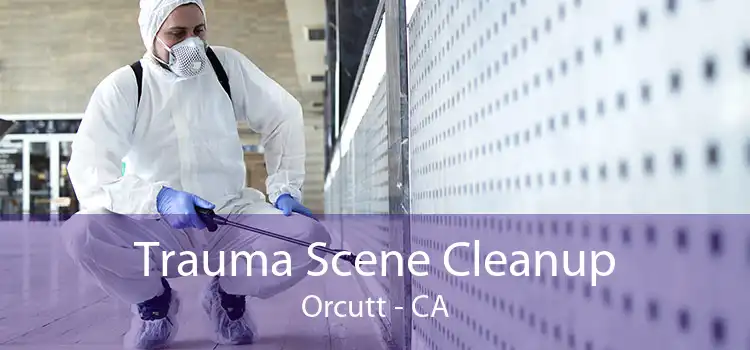 Trauma Scene Cleanup Orcutt - CA