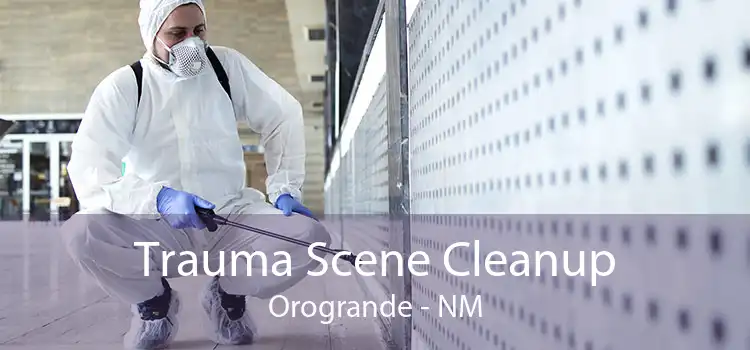 Trauma Scene Cleanup Orogrande - NM