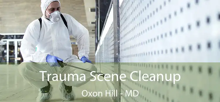  Trauma Scene Cleanup Oxon Hill - MD