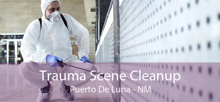 Trauma Scene Cleanup Puerto De Luna - NM