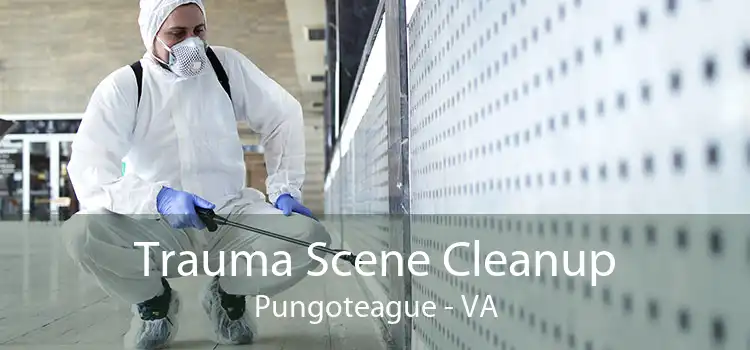 Trauma Scene Cleanup Pungoteague - VA