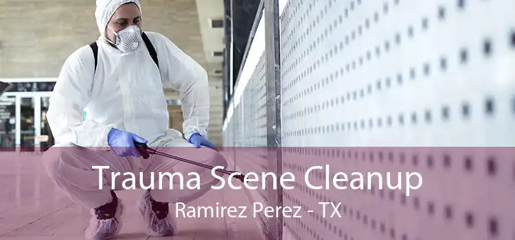 Trauma Scene Cleanup Ramirez Perez - TX