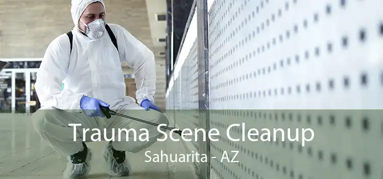Trauma Scene Cleanup Sahuarita - AZ
