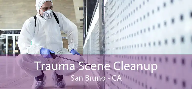 Trauma Scene Cleanup San Bruno - CA