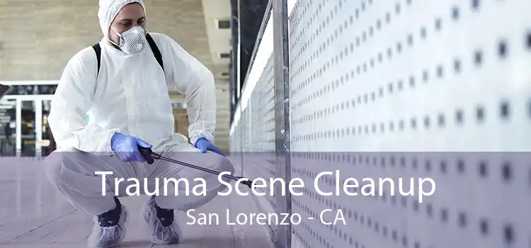 Trauma Scene Cleanup San Lorenzo - CA