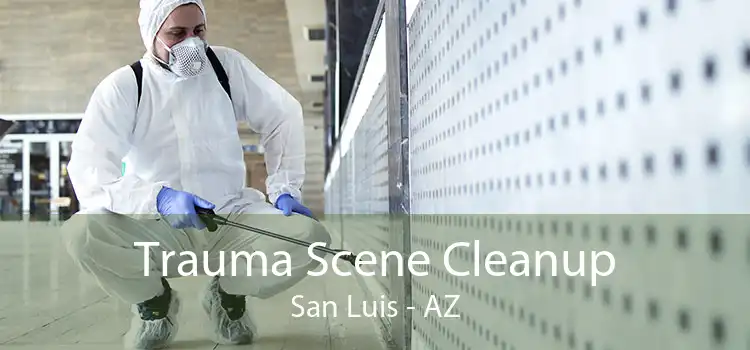 Trauma Scene Cleanup San Luis - AZ