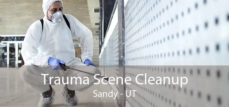 Trauma Scene Cleanup Sandy - UT