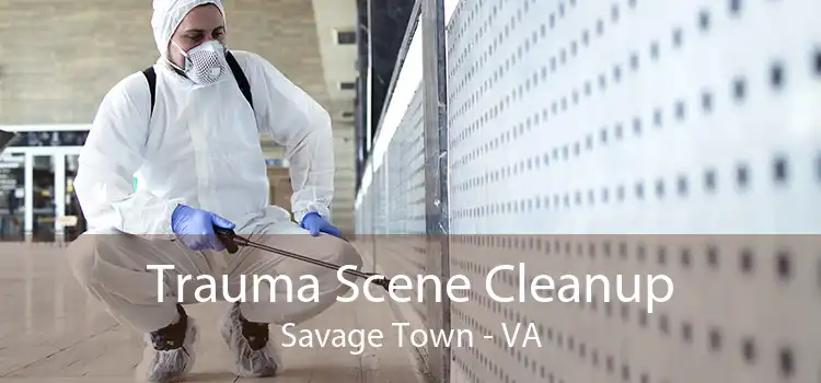 Trauma Scene Cleanup Savage Town - VA