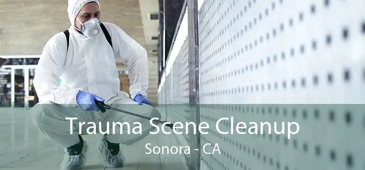 Trauma Scene Cleanup Sonora - CA
