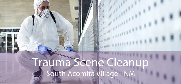 Trauma Scene Cleanup South Acomita Village - NM