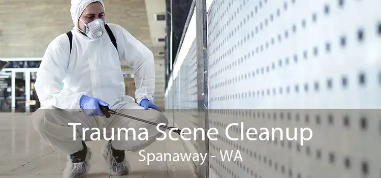 Trauma Scene Cleanup Spanaway - WA