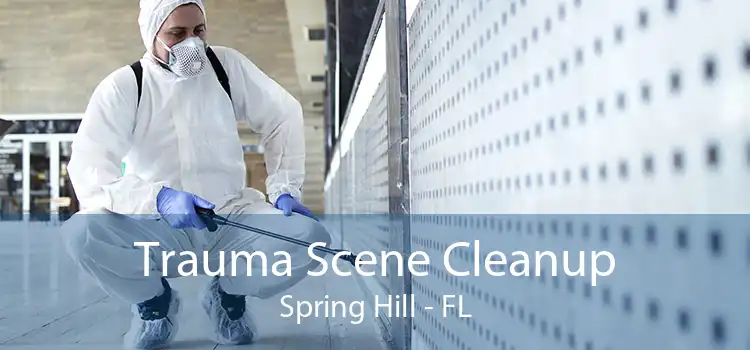 Trauma Scene Cleanup Spring Hill - FL