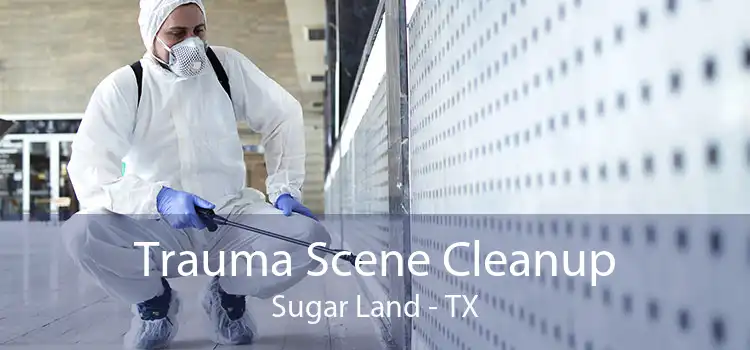 Trauma Scene Cleanup Sugar Land - TX