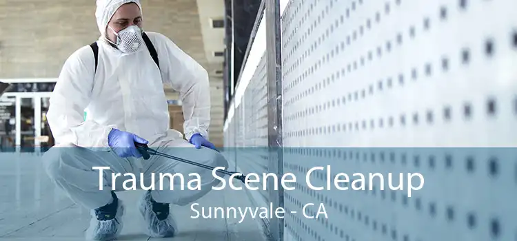 Trauma Scene Cleanup Sunnyvale - CA