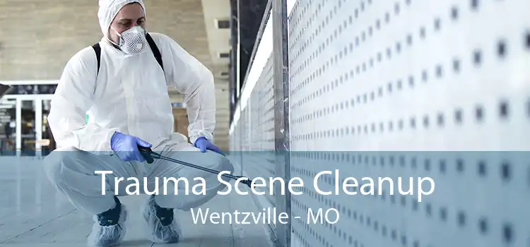 Trauma Scene Cleanup Wentzville - MO