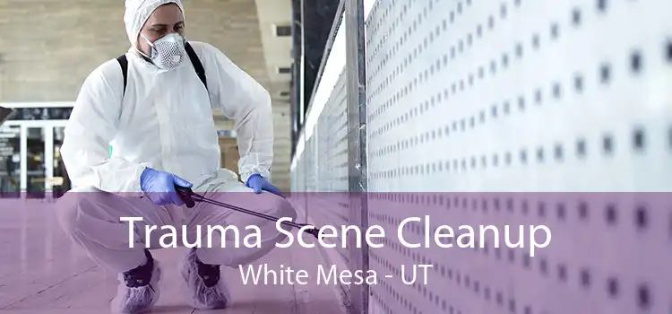 Trauma Scene Cleanup White Mesa - UT